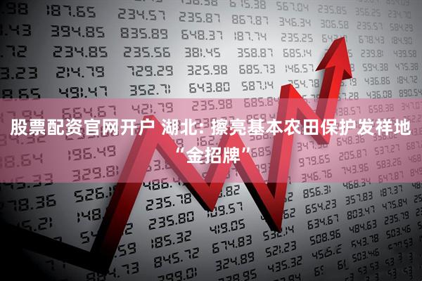 股票配资官网开户 湖北: 擦亮基本农田保护发祥地“金招牌”