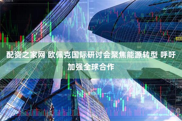 配资之家网 欧佩克国际研讨会聚焦能源转型 呼吁加强全球合作