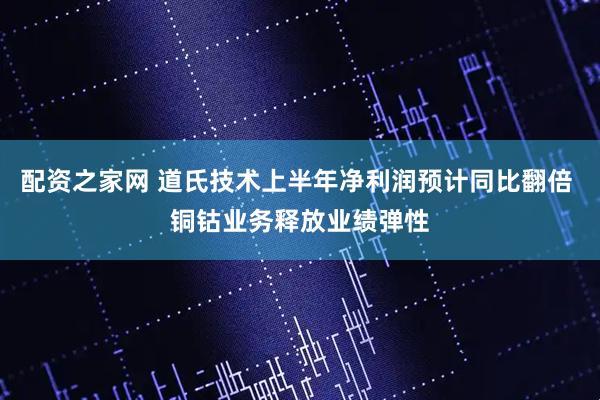 配资之家网 道氏技术上半年净利润预计同比翻倍 铜钴业务释放业绩弹性