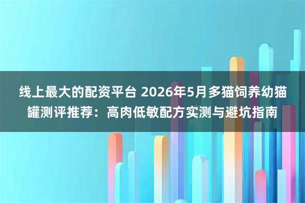 线上最大的配资平台 2026年5月多猫饲养幼猫罐测评推荐：高肉低敏配方实测与避坑指南